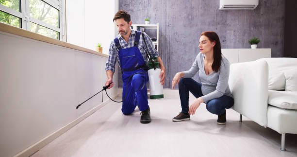 Best Real Estate Pest Inspections  in Bellevue, MI